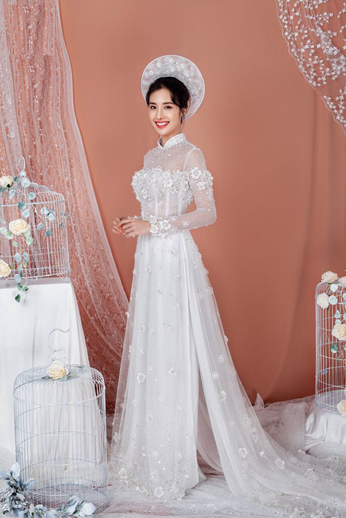 Thủy Sinh Aqua
