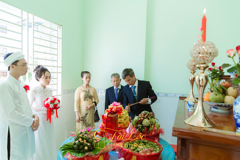 Thủy Sinh Aqua
