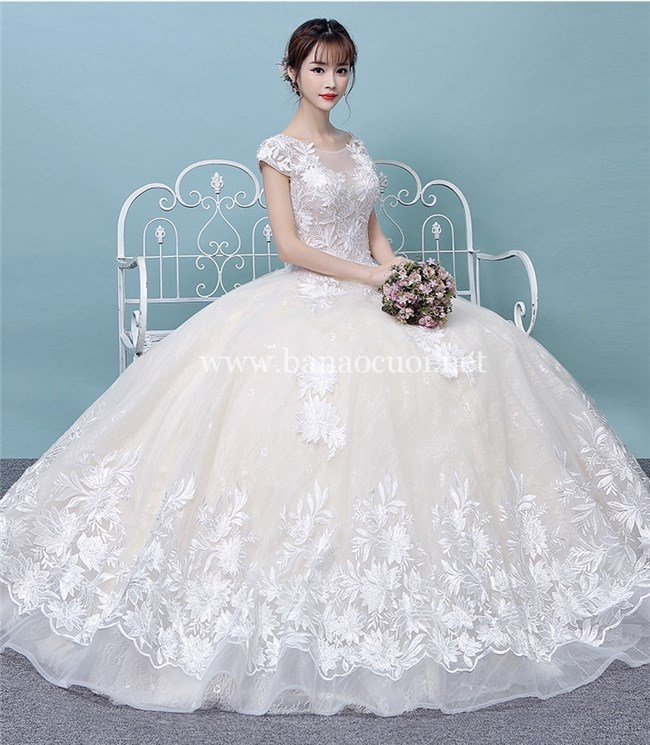 Thủy Sinh Aqua