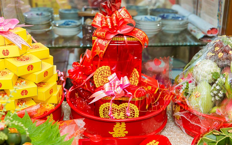 Thủy Sinh Aqua