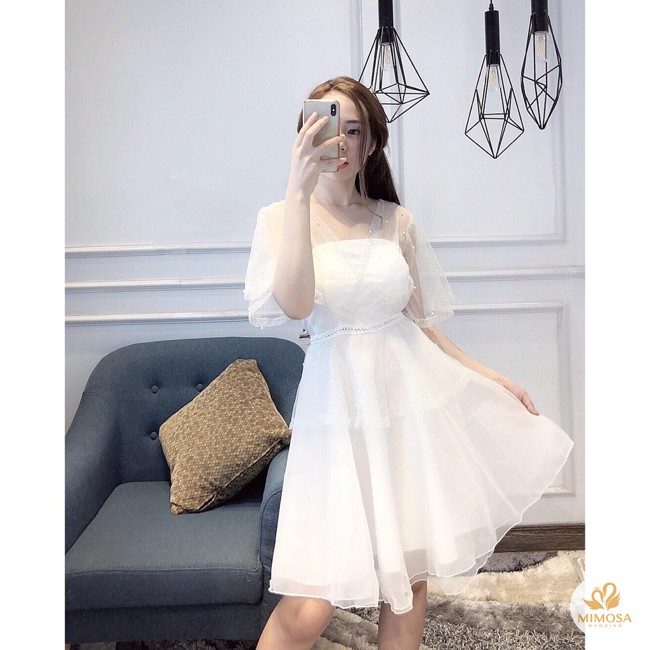 Thủy Sinh Aqua
