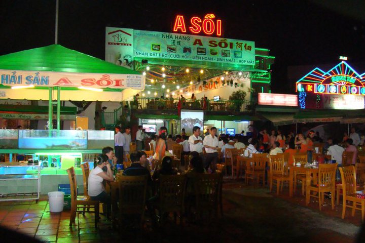 Thủy Sinh Aqua