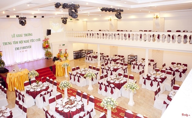Thủy Sinh Aqua