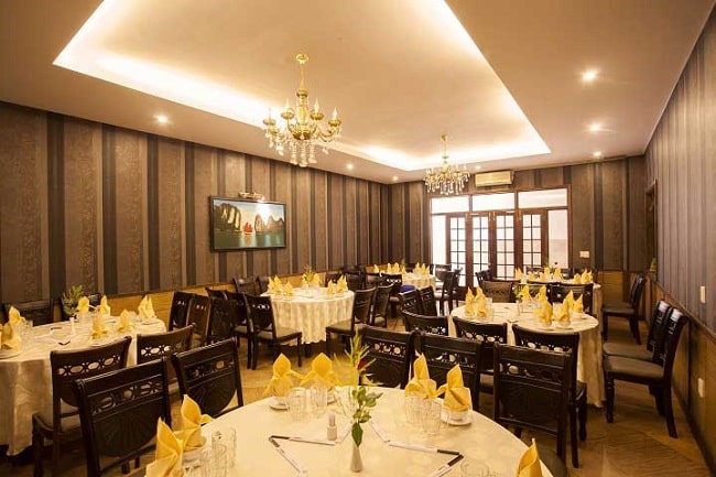 Thủy Sinh Aqua