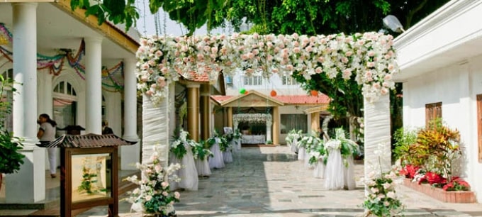Thủy Sinh Aqua