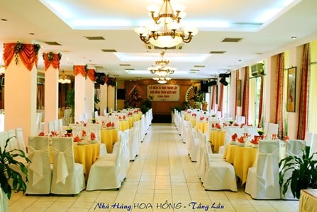 Thủy Sinh Aqua