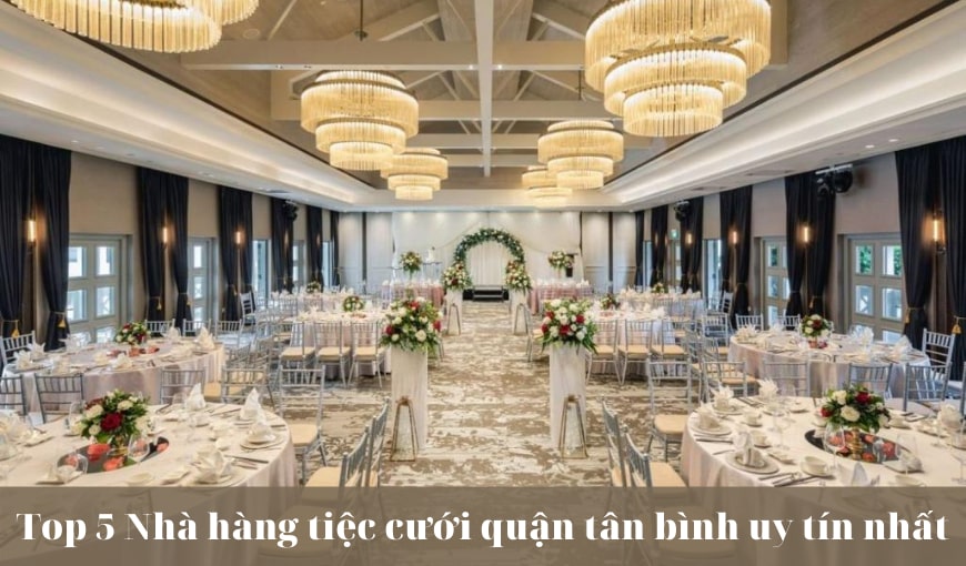 Thủy Sinh Aqua