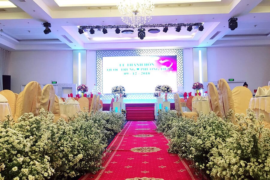 Thủy Sinh Aqua