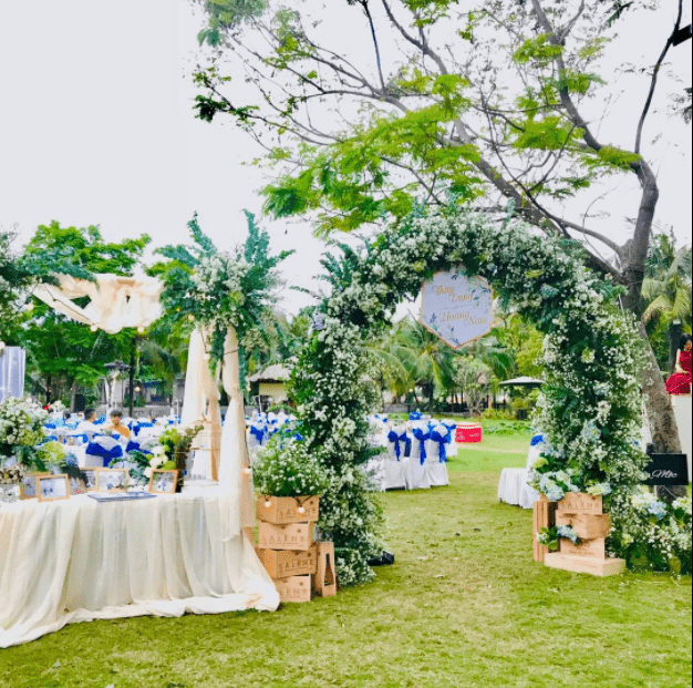Thủy Sinh Aqua