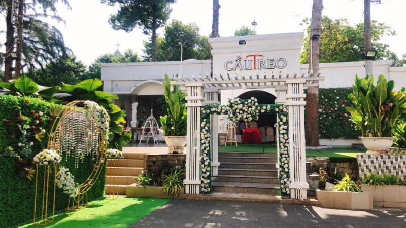 Thủy Sinh Aqua