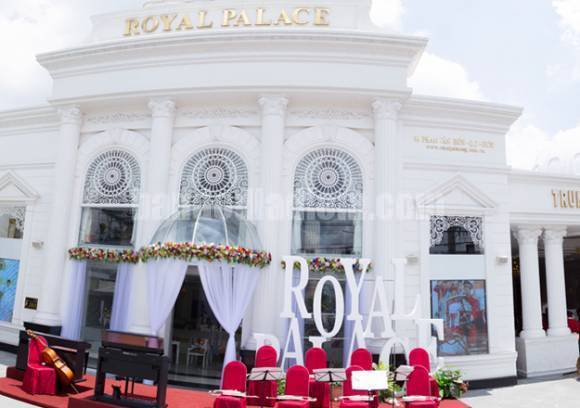 Thủy Sinh Aqua