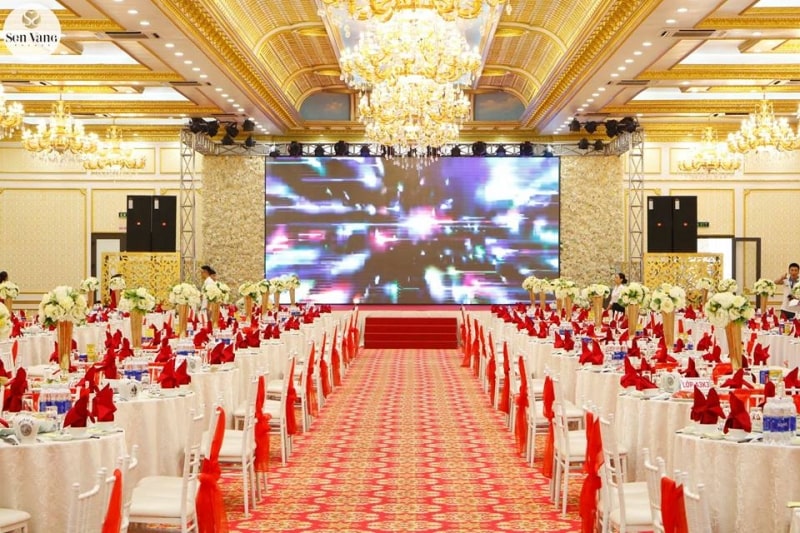 Thủy Sinh Aqua