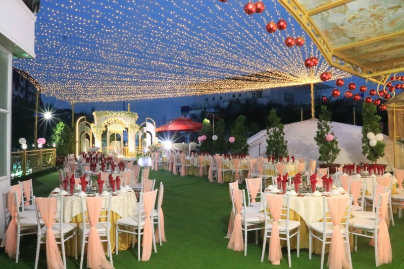Thủy Sinh Aqua