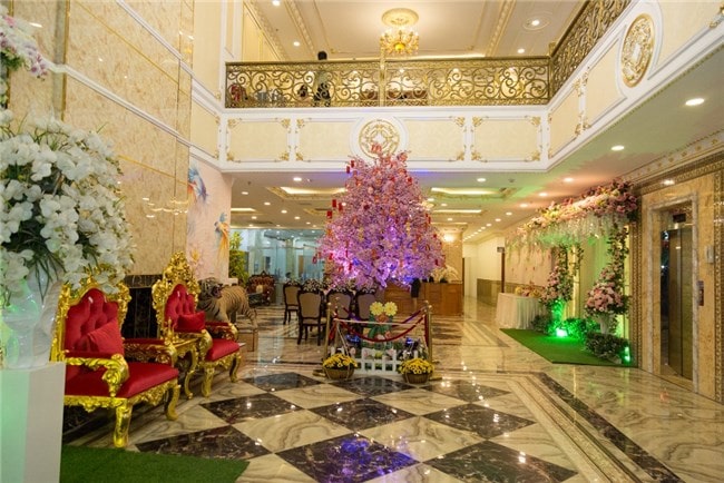 Thủy Sinh Aqua