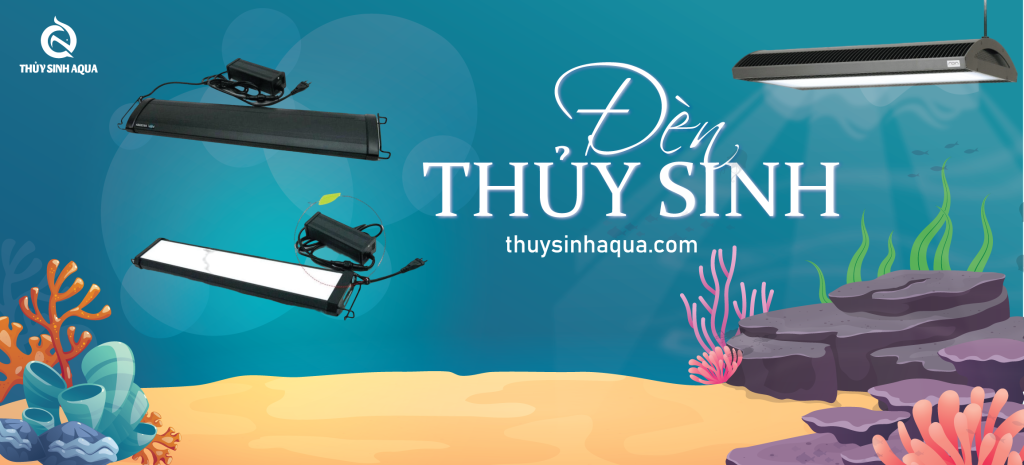Thủy Sinh Aqua