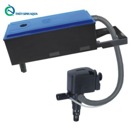 Thủy Sinh Aqua