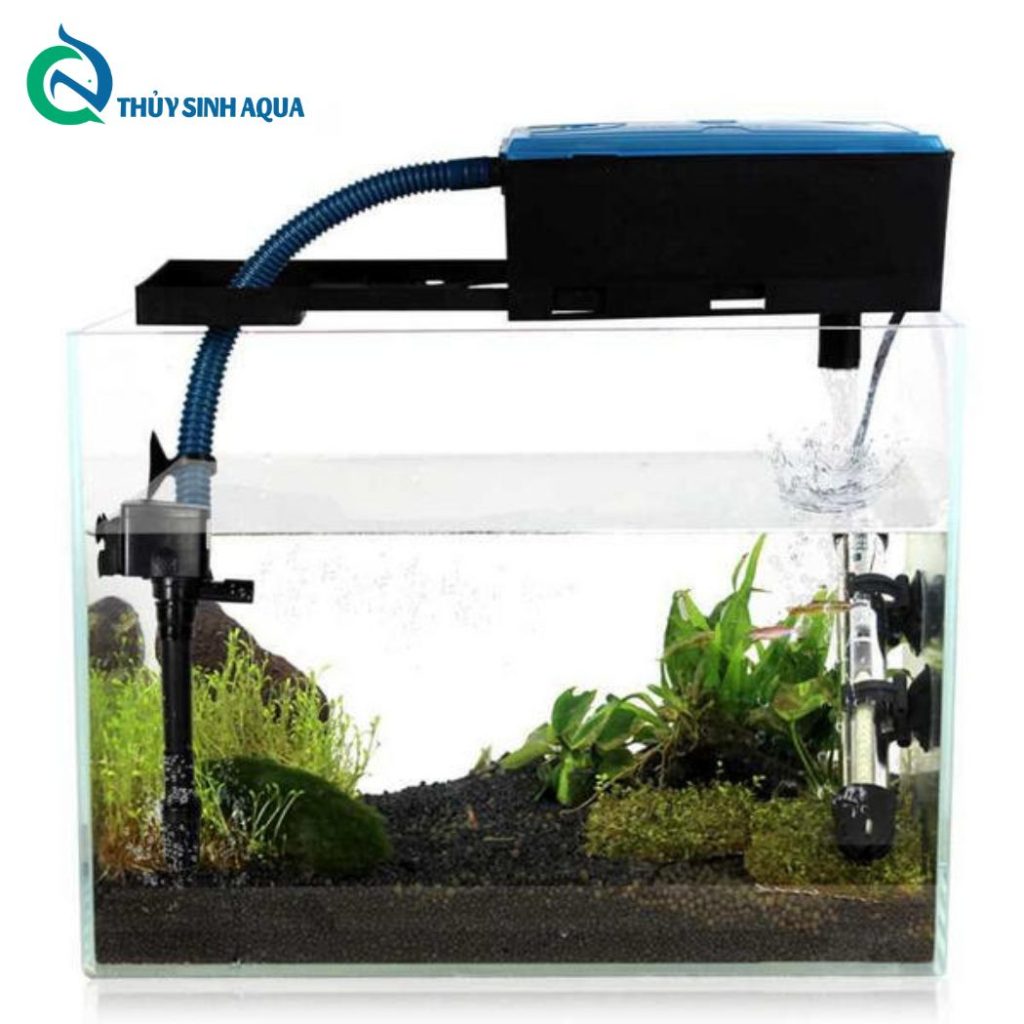 Thủy Sinh Aqua