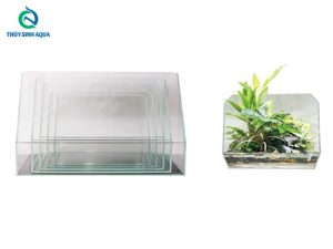 Hồ bán cạn nhập khẩu kính siêu trong Ista Ultra Glass Tank Paludarium