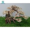 Lũa bonsai cấy rêu (dài26-cao18cm)
