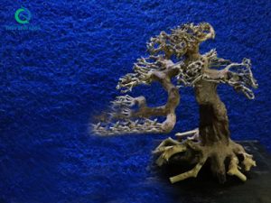 Lũa bonsai thủy sinh – Lũa cho hồ cá thủy sinh