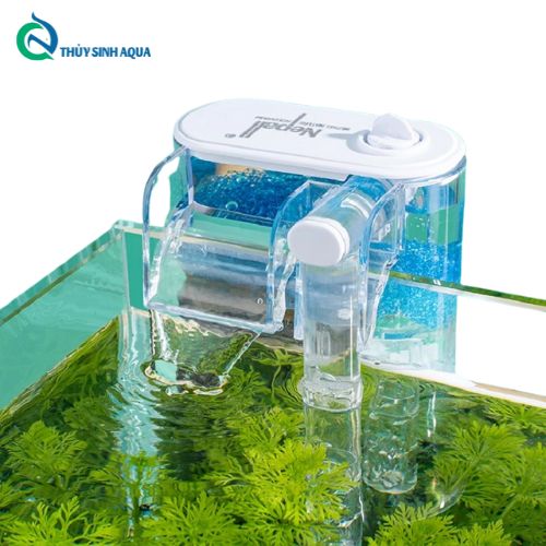 Thủy Sinh Aqua