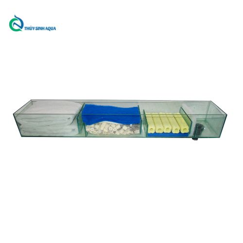 Thủy Sinh Aqua