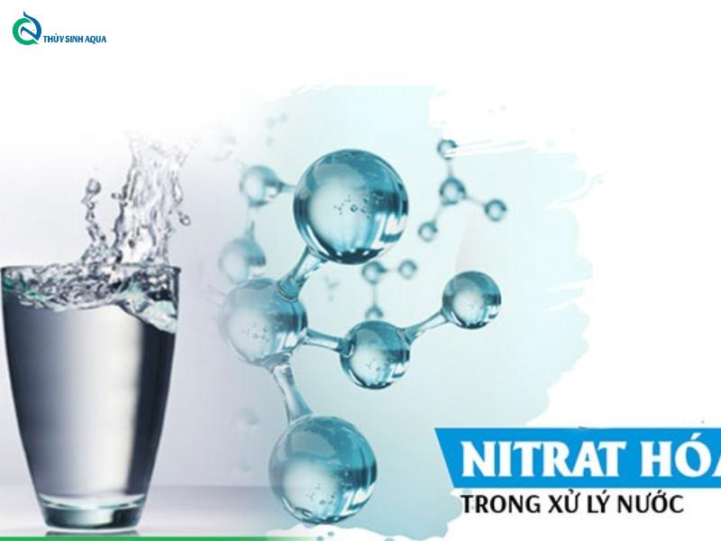 Khả năng xử lý nitrat