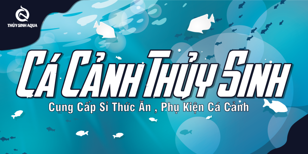 Thủy Sinh Aqua