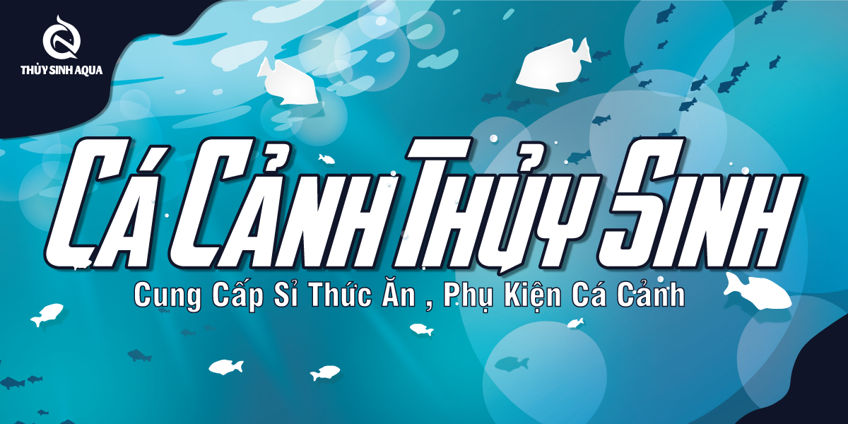 ca canh thuy sinh logo