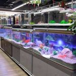 Cửa hàng cá kiểng Minh Thắng