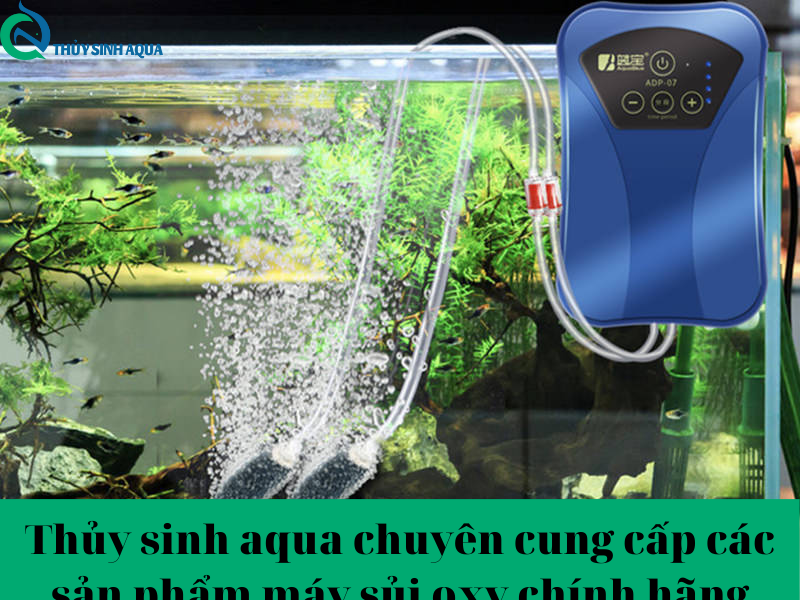 Thủy sinh aqua chuyên cung cấp các sản phẩm máy sủi oxy chính hãng