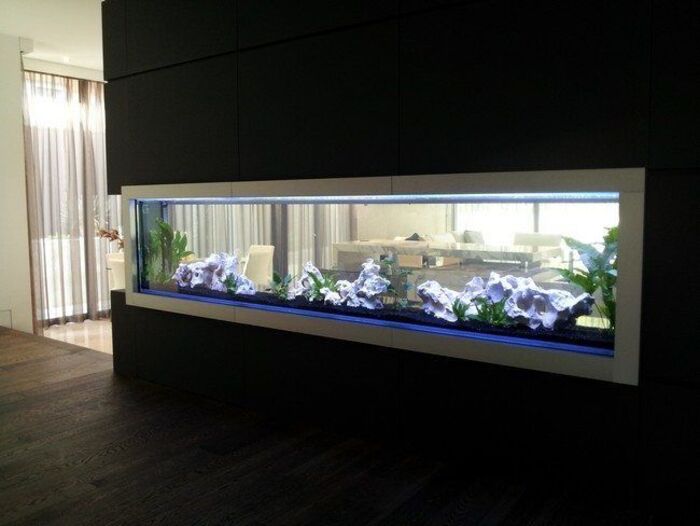 Bể âm tường – 9 mẫu bể nuôi cá rồng đẹp