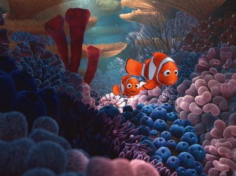 Môi trường sống của cá Nemo