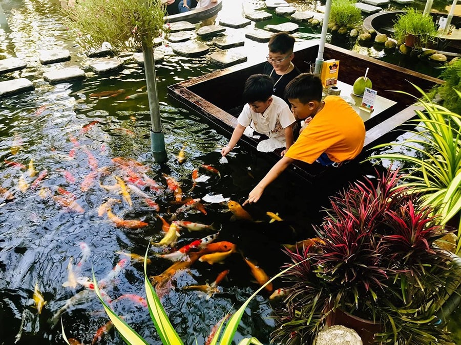 Cà Phê Cá Koi Tây Ninh - Koi Garden