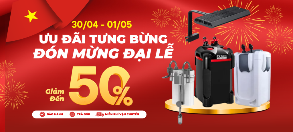 Trang Chủ banner 304