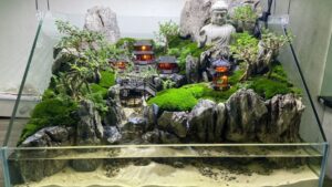 Gợi ý 10 mẫu tiểu cảnh hồ cá sân vườn bạn không nên bỏ qua